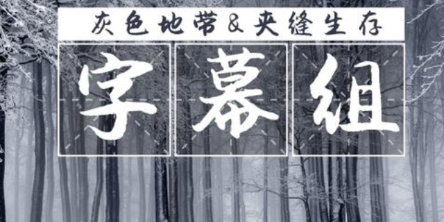 版权时代，字幕组要怎么生存下来？