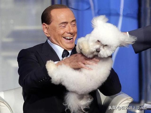 喂，快点从我头上走开，我不要脸啊……面对蠢萌的动物大佬也没辙