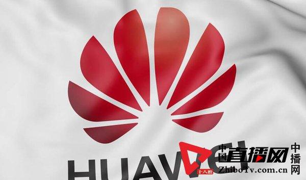 华为核心供应商名单首次公布：京东方、高通、英特尔上榜