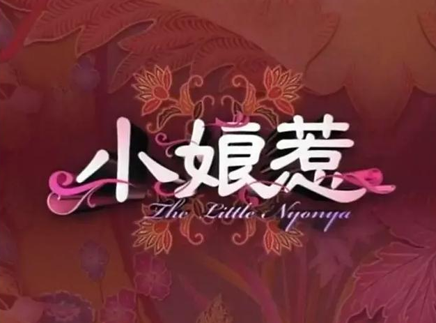 万人空巷的《小娘惹》，“新加坡版大长今”，明清移民后裔的故事