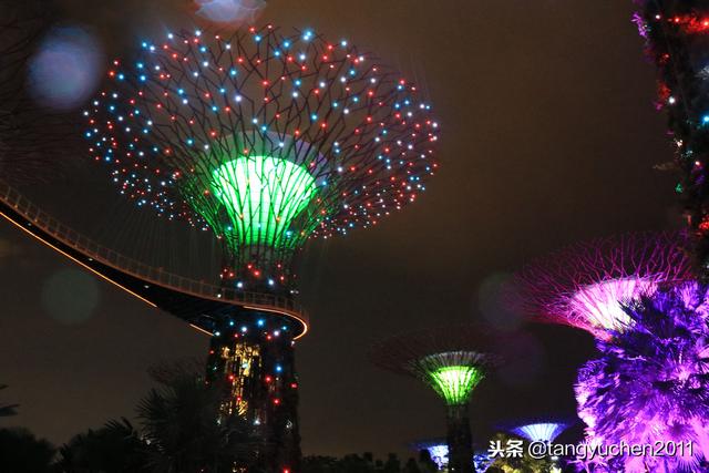 新加坡天空树，夜景浪漫，一脚踏入阿凡达电影世界