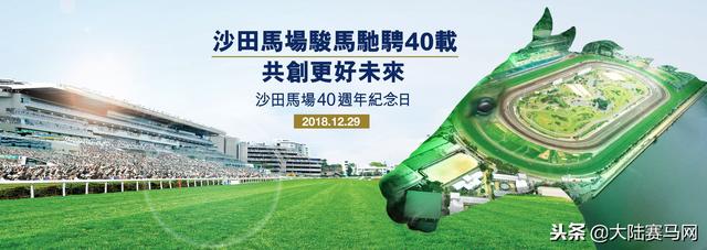 香港沙田马场40周年：马迷不可不知的十件事