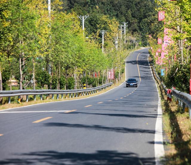 随州公路：千年银杏谷 畅美曾都路