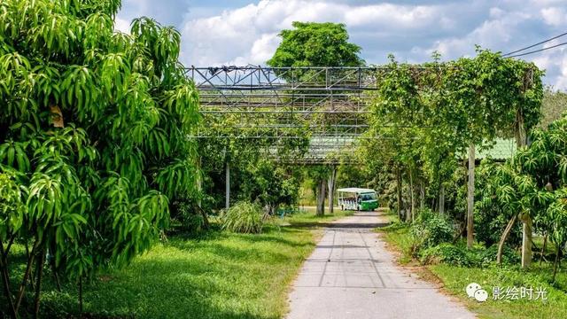 乐游暹罗之转海穿城探神奇，食住行游泰美满