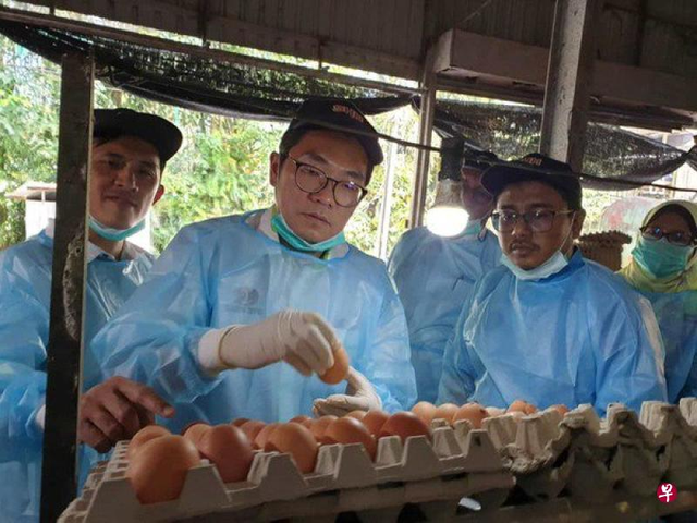 新加坡莫慌！马来西亚不缺鸡蛋和海鲜，没有限制出口！