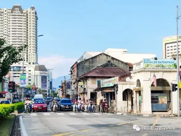 南洋寻茶记①：在马来西亚，无论拿督、厨师，终被一杯六堡茶征服