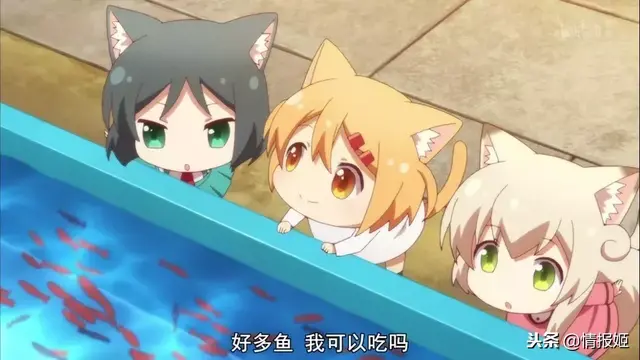 看了猫咪days，我的猫咪什么时候能变成猫娘呢？