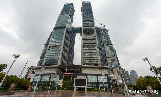 新加坡在华最大投资项目在重庆引起巨大争议，你是支持还是反对