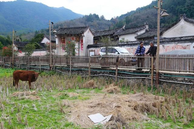 田园绿意的美丽乡村，这里有你没看过的景色