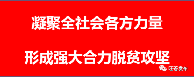点赞！我县李忠慧进入市级“非遗”项目代表性传承人名单