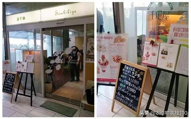 一个西瓜1300元！这家果蔬店竟然开了182年