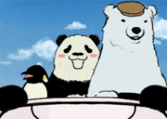 2019美国硕士最全申请流程