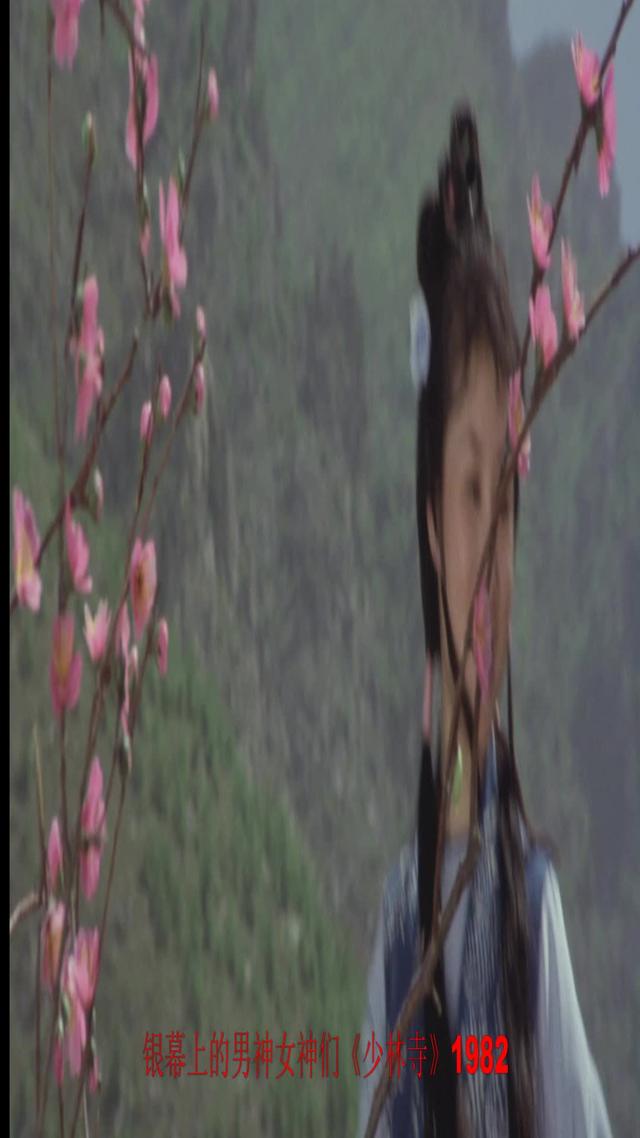 《少林寺》中牧羊女丁岚，目前在新加坡