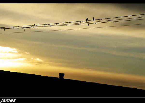 行走美国——初来乍到洛杉矶