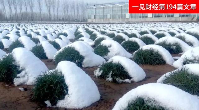 蒙草生态缘何备受关注？只因5年来做了一件事