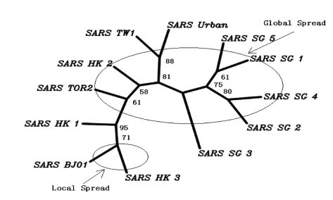 究竟是谁传播了SARS