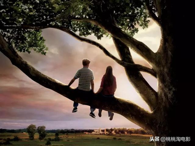 有一种画面叫歪脖树下好凄凉啊！｜特冷门