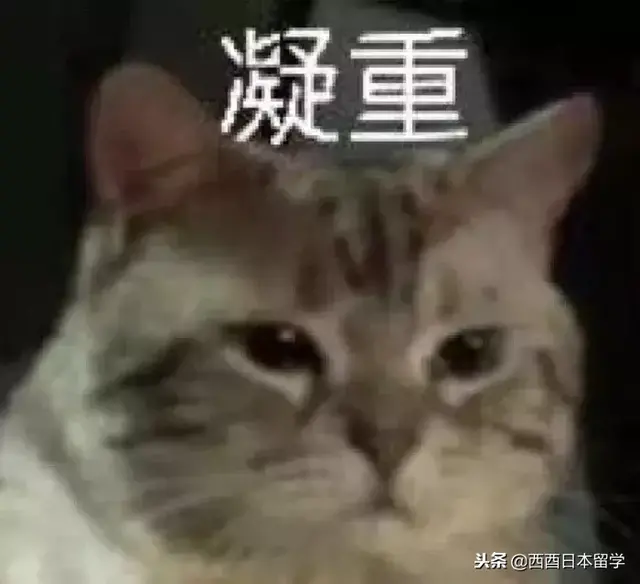 2018年去日本旅游最丢人的行为盘点，随地大小便，在涌泉池洗东西