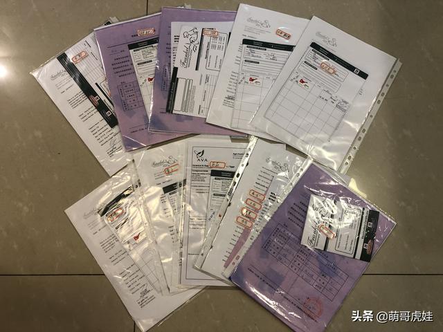 在国外养宠物回国时只能忍痛送人？小姐姐教你如何带他们一起回国