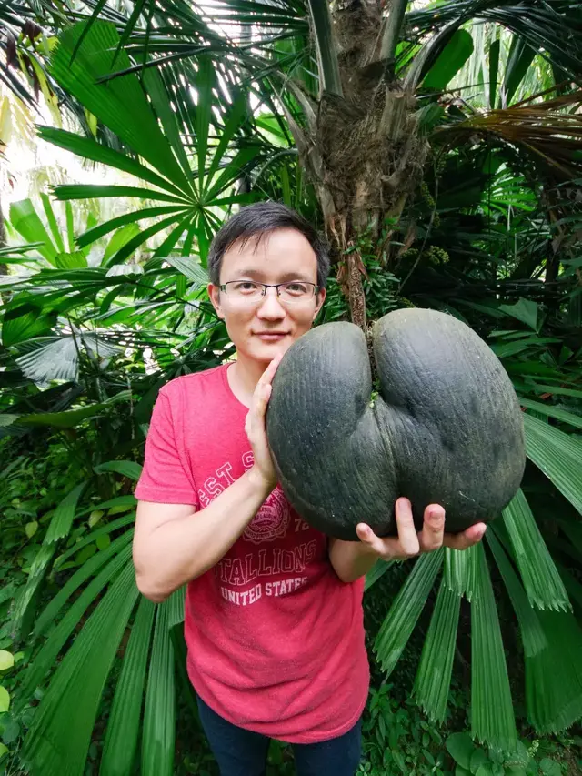 中国最爱吃水果的人，一年花掉50万！