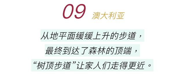 向往指南｜如今大热的家庭游要怎样才能让孩子和父母都满足，这10种玩法能俘获他们的心