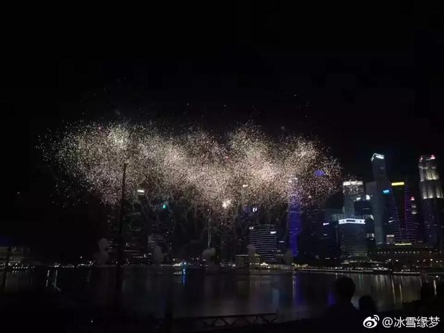 新加坡盛大烟花！2019跨年夜美翻了~