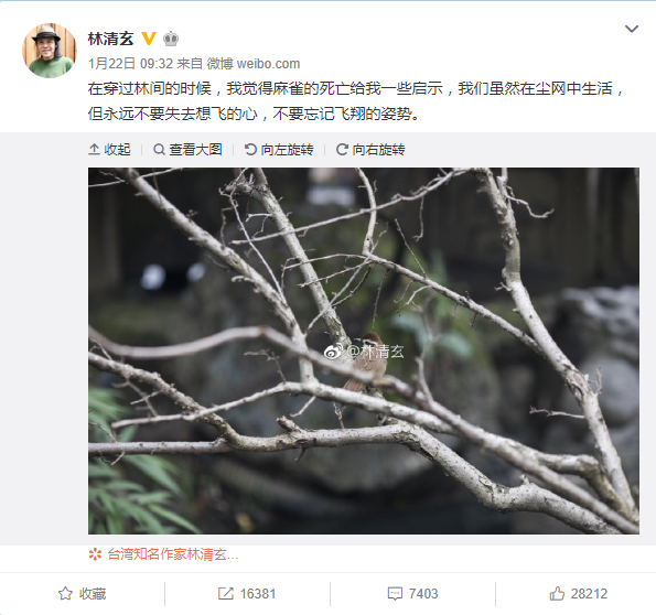 林清玄和余光中、李敖、洛夫那个时代