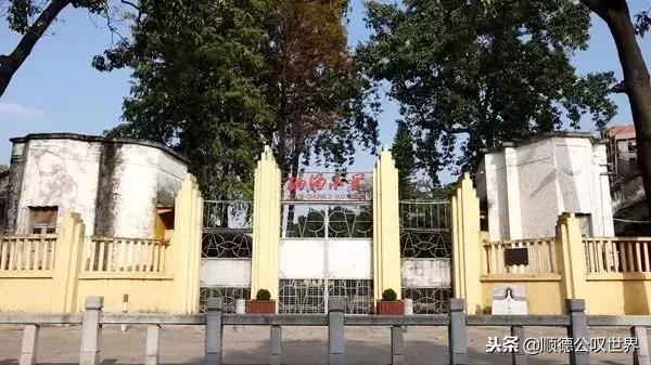 走进仙涌丨这座岭南水乡不简单，竟隐藏着3000亩会发光的桔地！