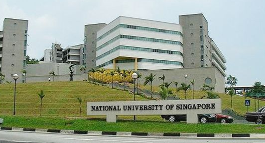 新加坡国立大学就业能力全球NO.10，这是因为……