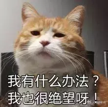“我是真的没有对象可以带回家啊……”