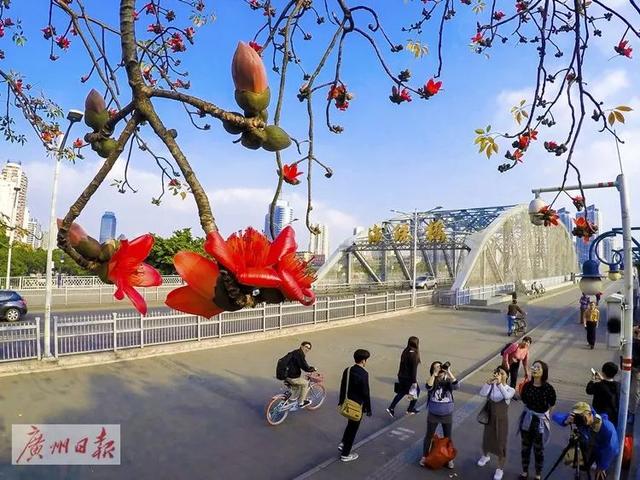 9大亮点1次看尽，这份2019广州看花攻略，请查收！