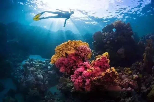 2019这个新晋的网红海岛，人少景美！快奔向温暖的阳光海岸