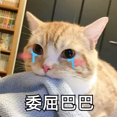 震惊！为什么在新加坡被狗咬了，不用打狂犬疫苗？！