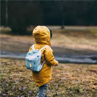一条鱼，不该被迫去爬树