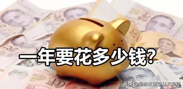 新加坡生活｜生活在新加坡，预算得达到多少才行呢？