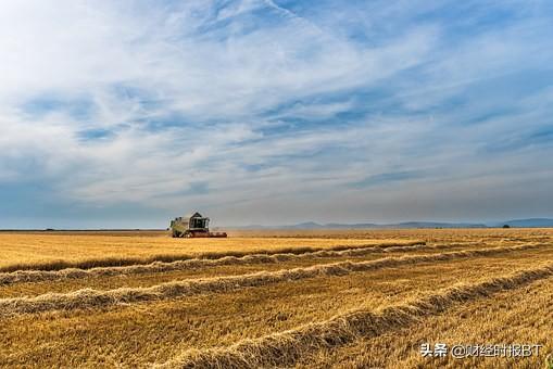 新加坡力争成为东盟都市农业和水产养殖技术中心