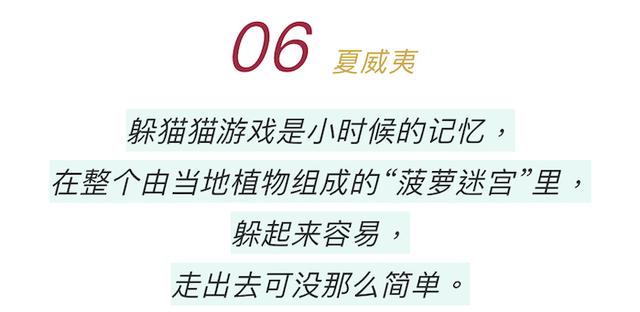 向往指南｜如今大热的家庭游要怎样才能让孩子和父母都满足，这10种玩法能俘获他们的心