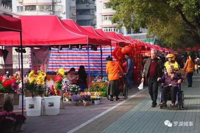 罗湖迎春花市1月31号开市！最全分会场名单出炉，10个街道都有！