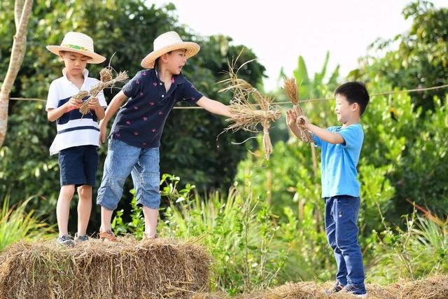 小留学生的另类选择，清迈国际学校面面观