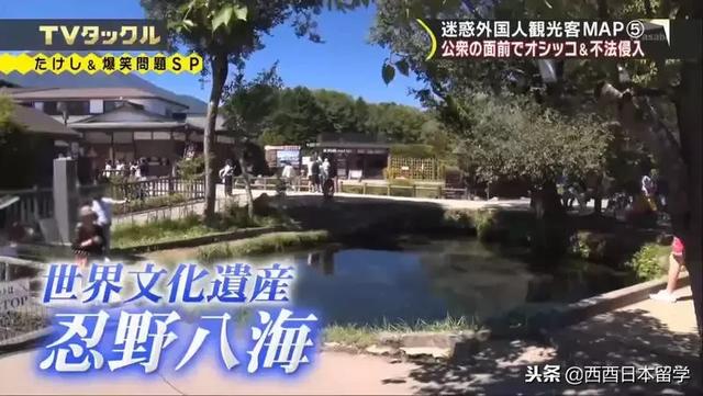 2018年去日本旅游最丢人的行为盘点，随地大小便，在涌泉池洗东西