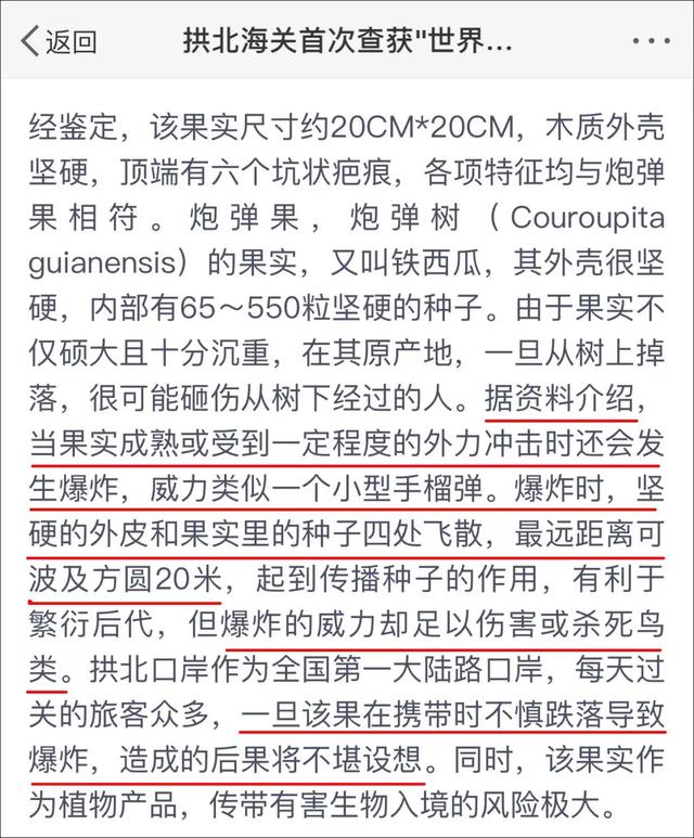 炮弹果爆炸威力类似小型手榴弹？博物杂志：这是看了什么科普