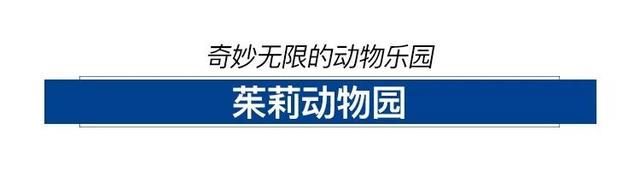 重庆来福士购物中心签约主力品牌首次曝光助力朝天门回归商业繁华