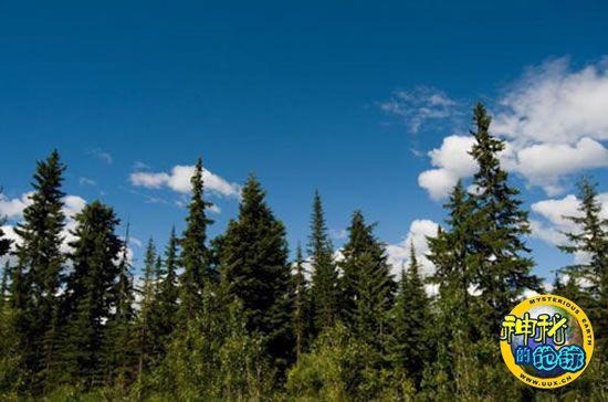 科学家发现世界上最后一块原始森林