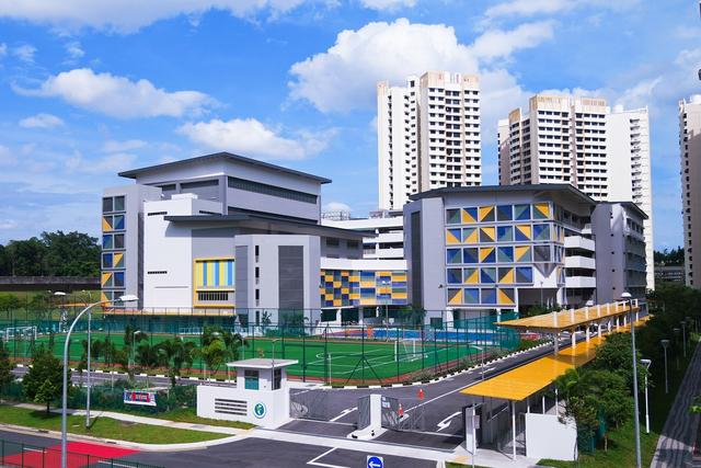 2019年，这些新加坡小学、中学、初院都将面临合并！