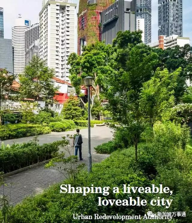 确定了，未来的新加坡竟是这样的！