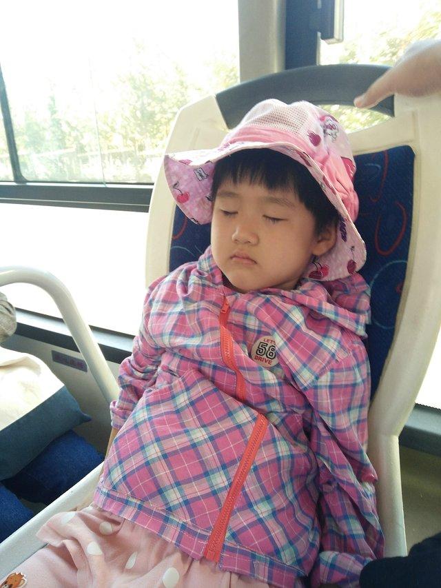 大连奶爸周末带娃宝贵经验分享 大连景点单日游——大连森林动物园一日游记