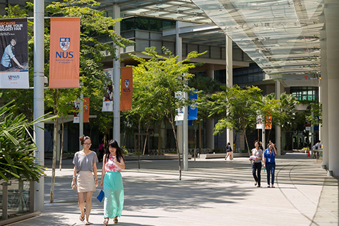 去新加坡上小学要多少费用？