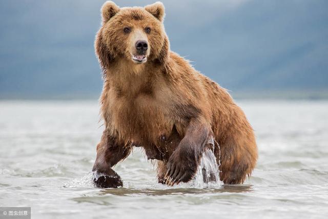 谁说的，熊市只能坐以待毙？3大交易“各显神通”！