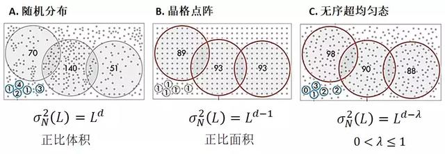 具有局域巨涨落的超均匀流体——一种新的活性流体态