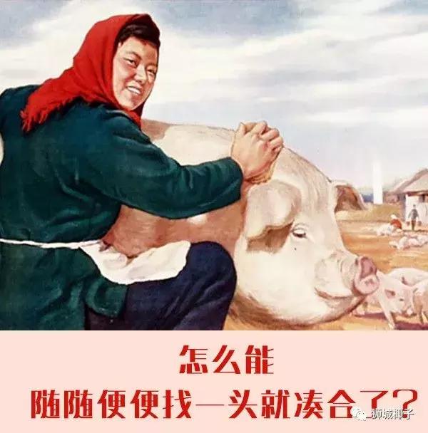 “你为什么还在新加坡，不回国？” “因为我工资乘以5！”